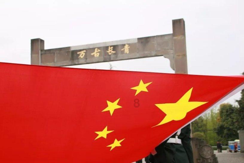 重生之玫瑰豪门
